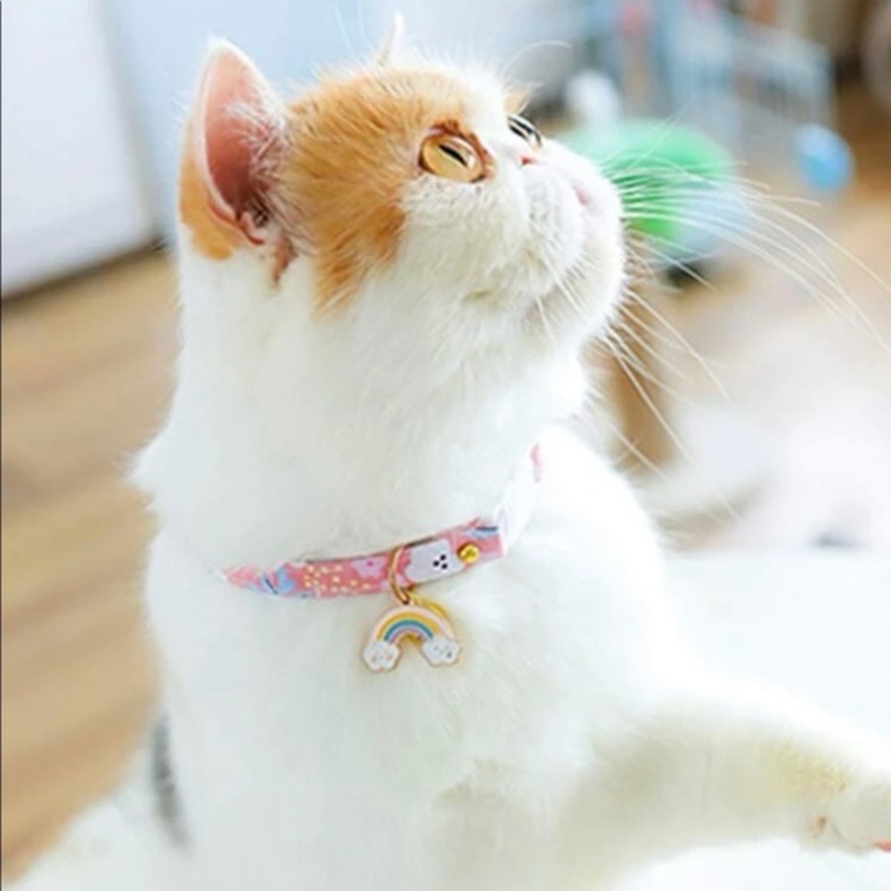 🌈 Rainbow Cloud ☁️ Cat Collar